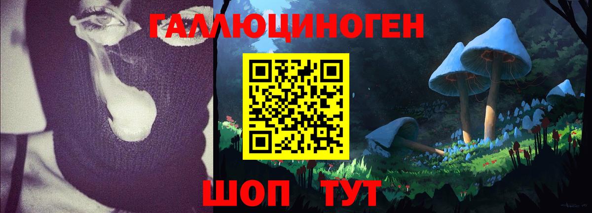 Каспийск  сколько стоит  Вход с VPN  Псилоцибиновые грибы прущие грибы 