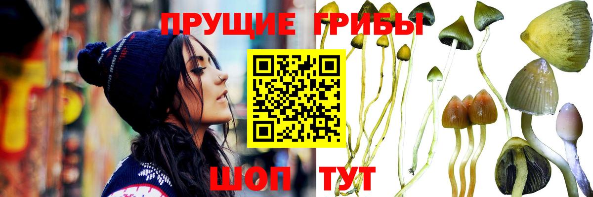 Псилоцибиновые грибы Magic Shrooms Каспийск